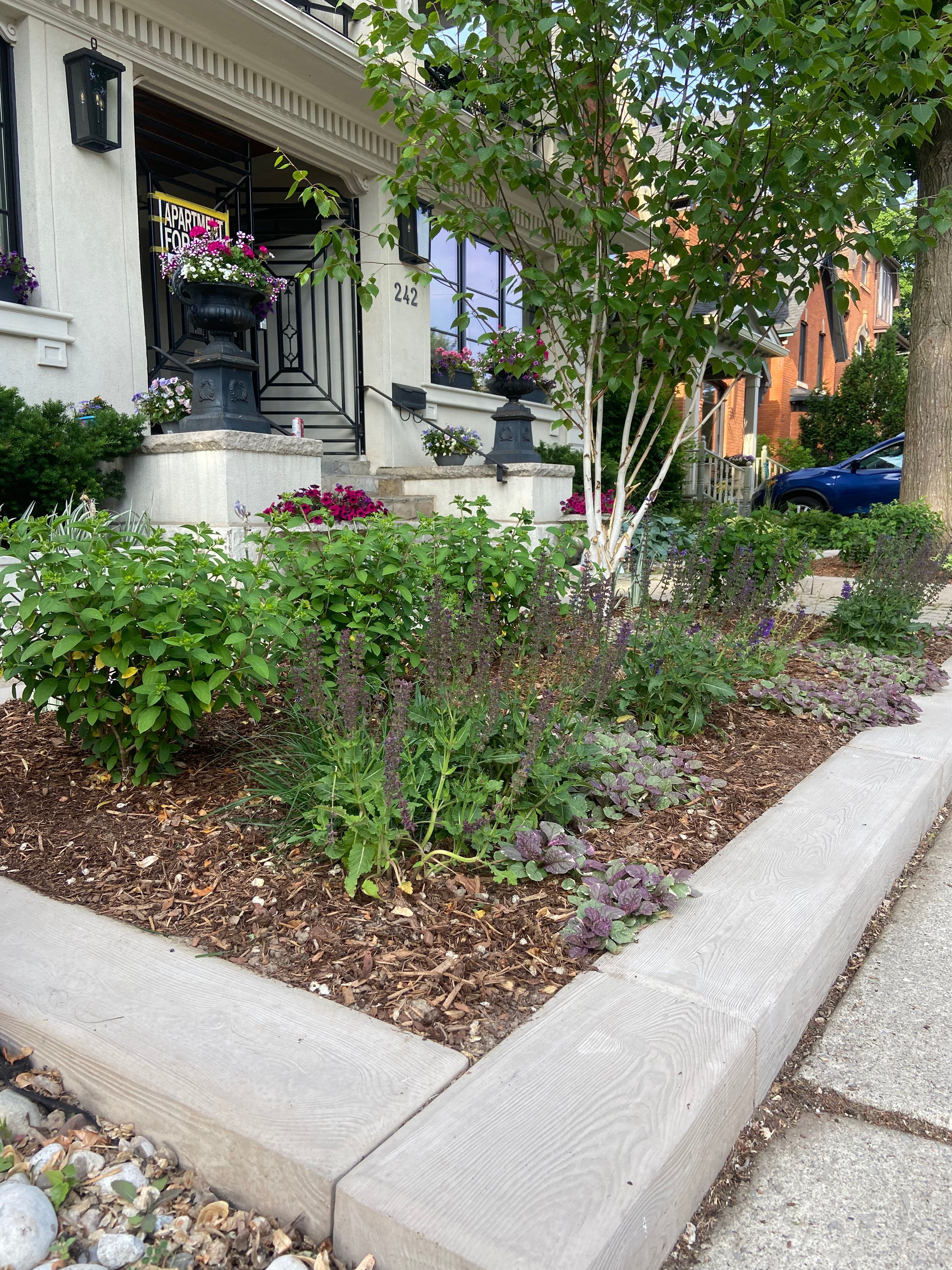 Full view of a vibrant front garden featuring modern Techo-Bloc stone edging.